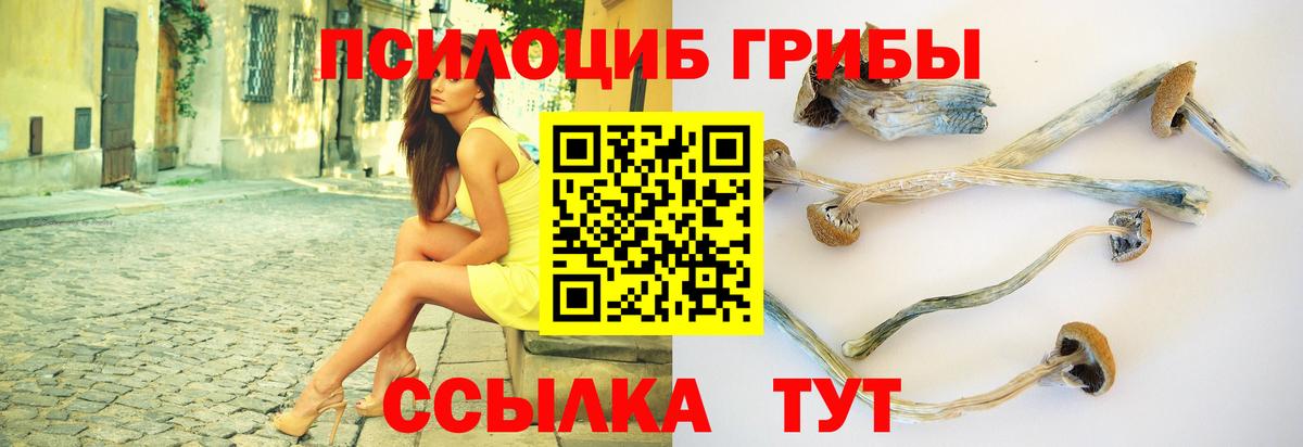 Галлюциногенные грибы ЛСД Саяногорск