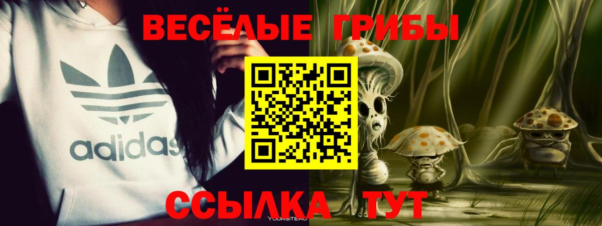 Псилоцибиновые грибы Magic Shrooms  Галлюциногенные грибы мухоморы  Вход с VPN  купить   Саяногорск 